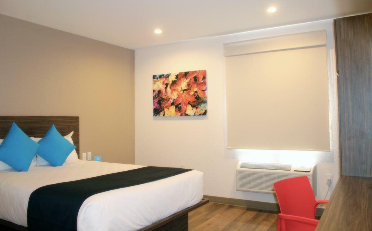 Noktos Extended Monterrey Apodaca Ngoại thất bức ảnh